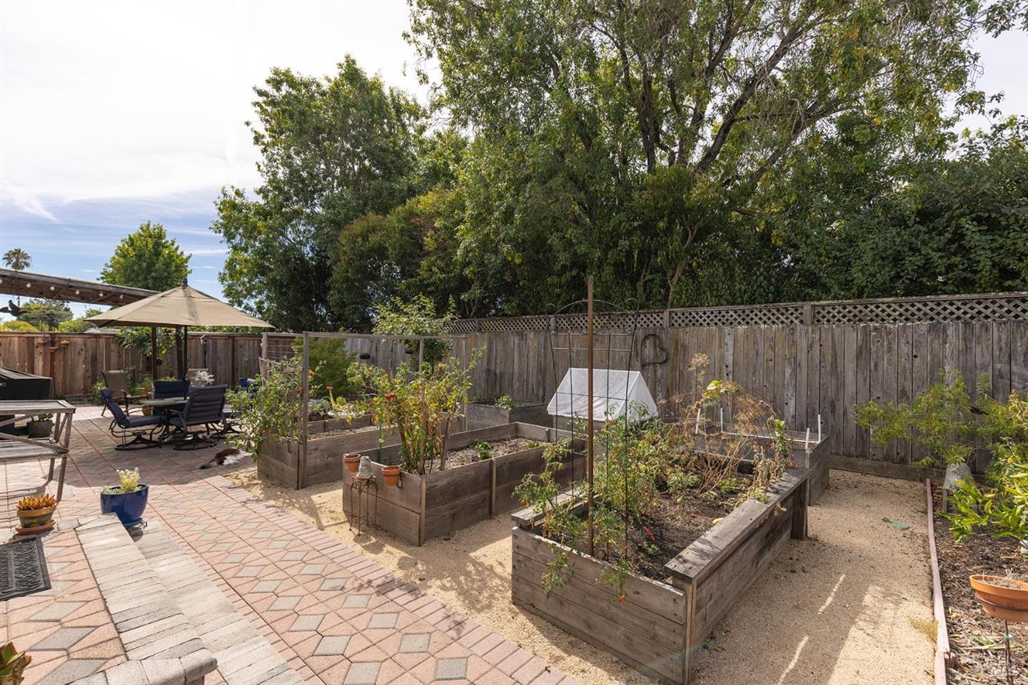 204 Sutter Street photo 19