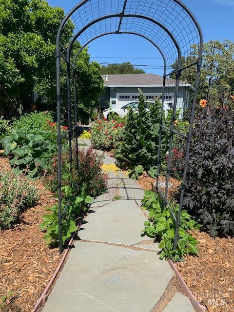 204 Sutter Street photo 22