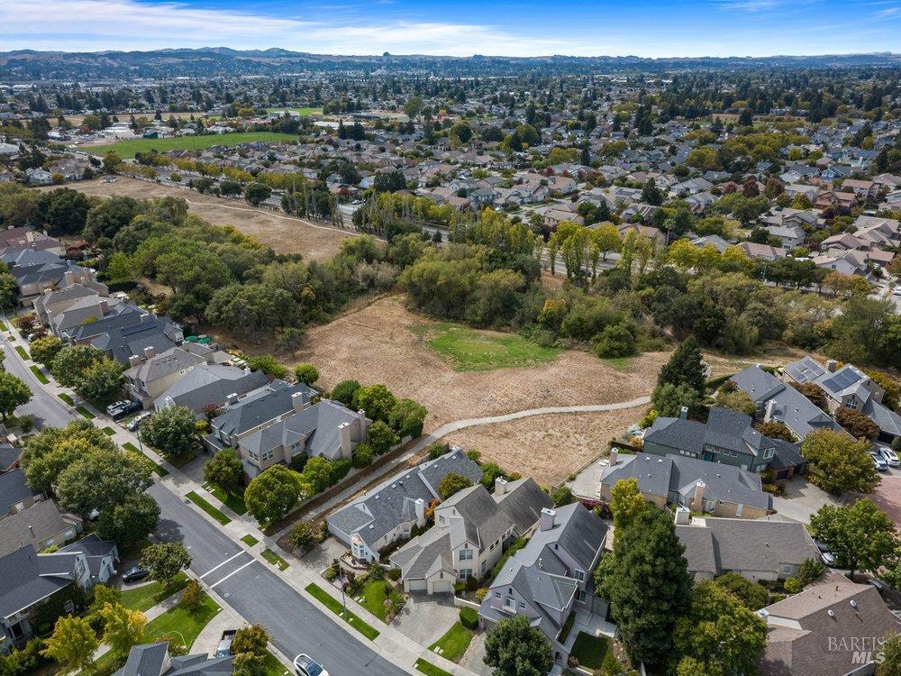 2010 Falcon Ridge Drive photo 53
