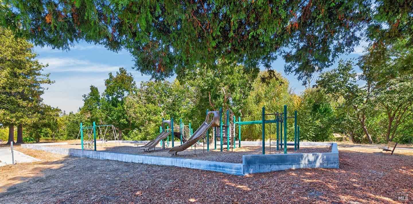 172 Clearview Court photo 69