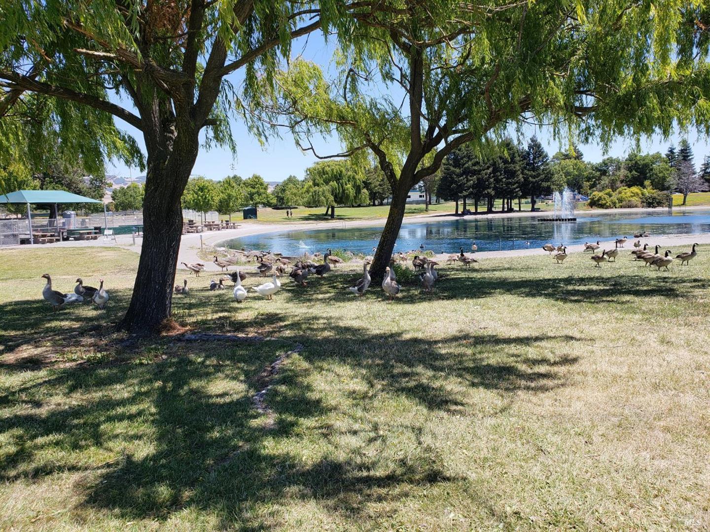 121 Verde Court photo 54