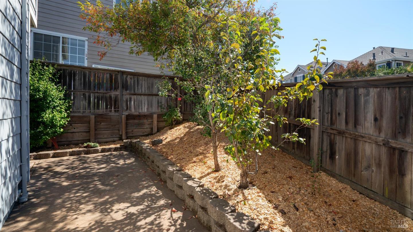 1014 Addison Circle photo 36