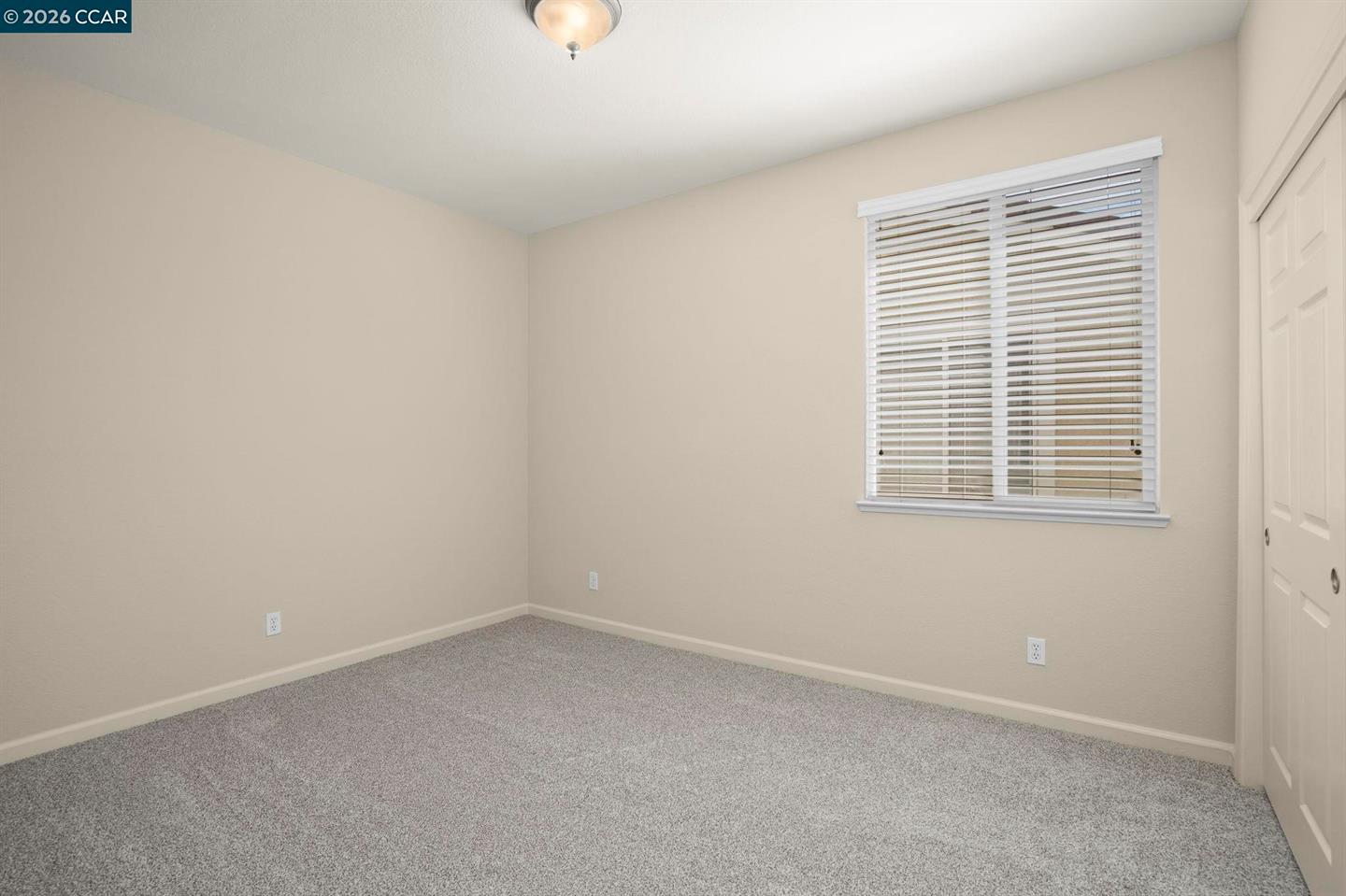 507 Livingston Court photo 33