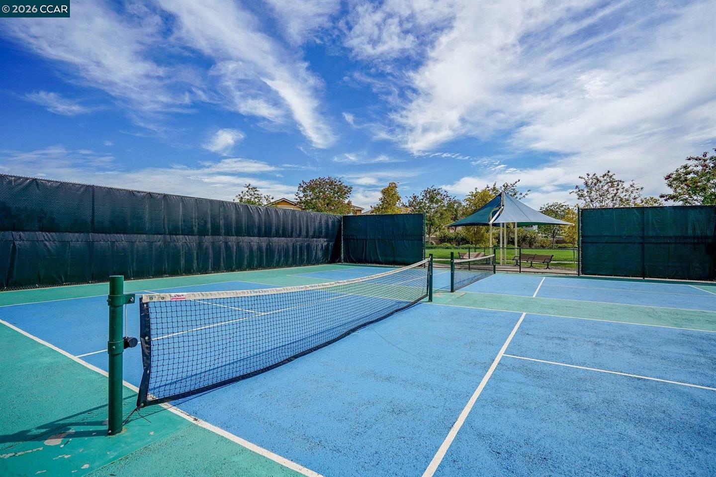 507 Livingston Court photo 47