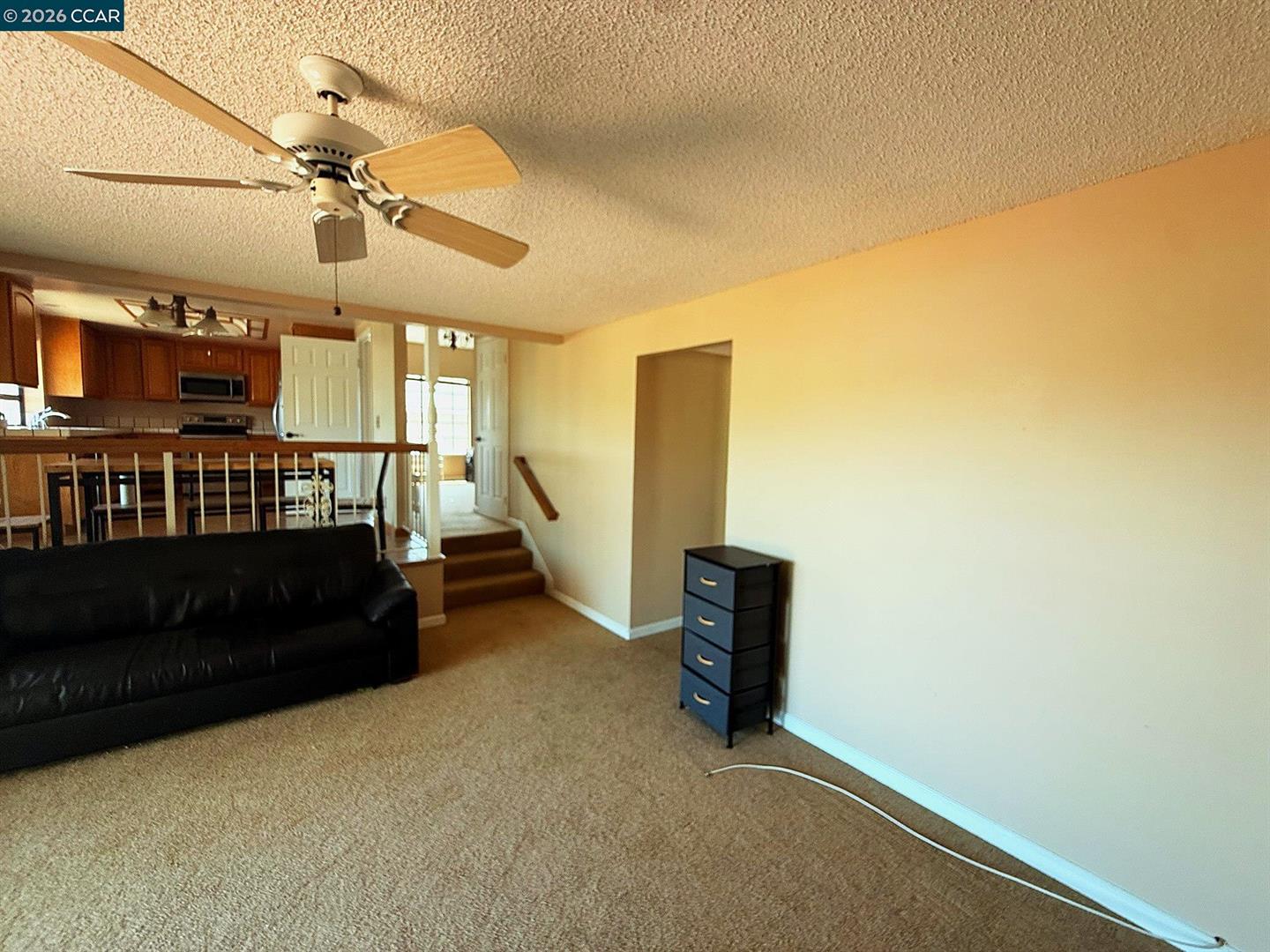 1732 Dolphin Pl photo 21