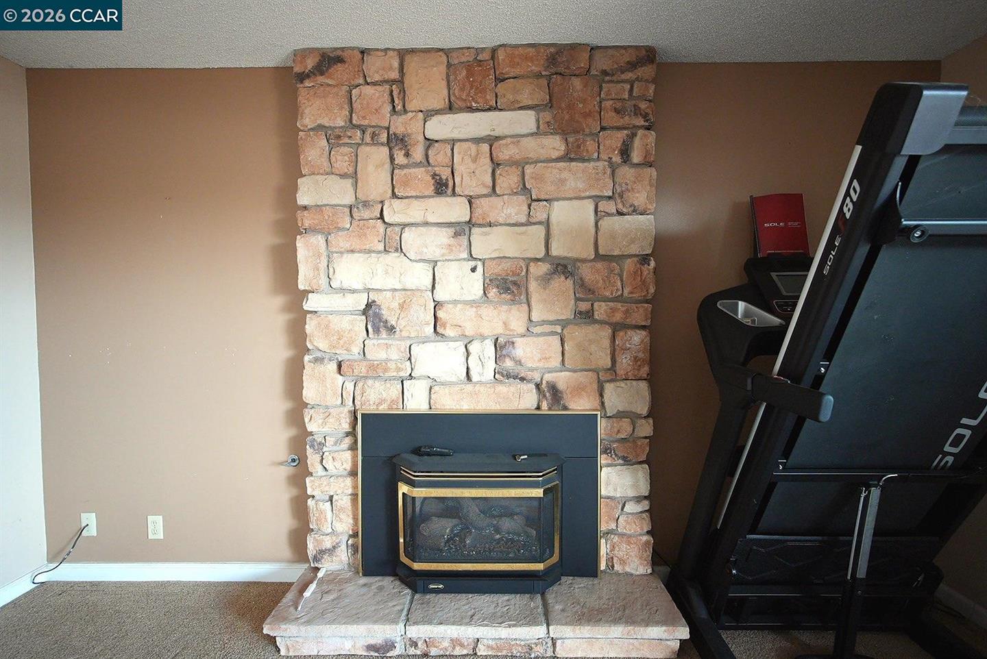 1732 Dolphin Pl photo 34
