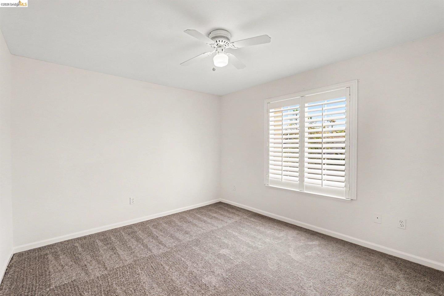 217 Sussex photo 22