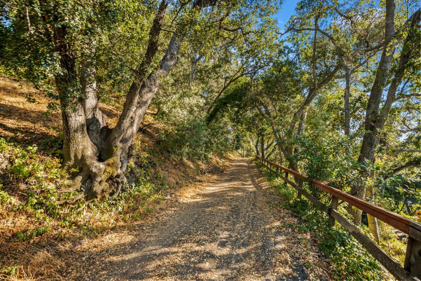 16497 S Kennedy Road photo 14