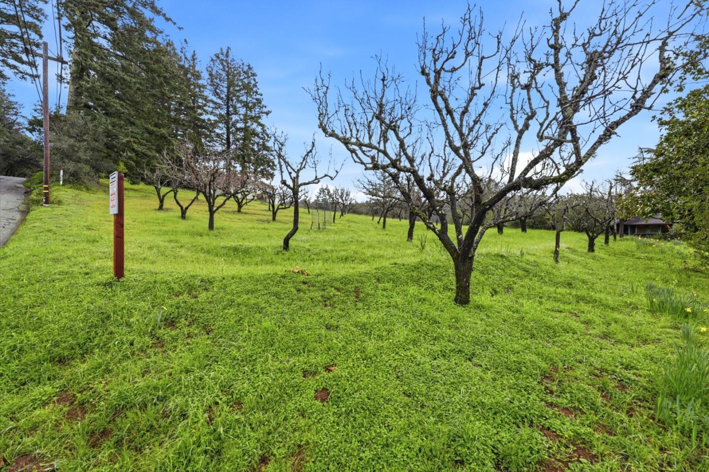 24733 Loma Prieta Avenue photo 31