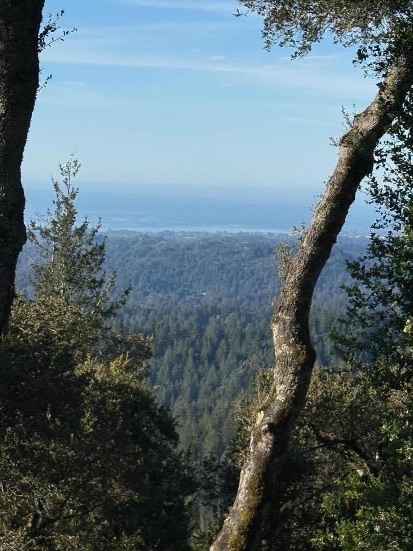 24854 Skyland Road photo 11