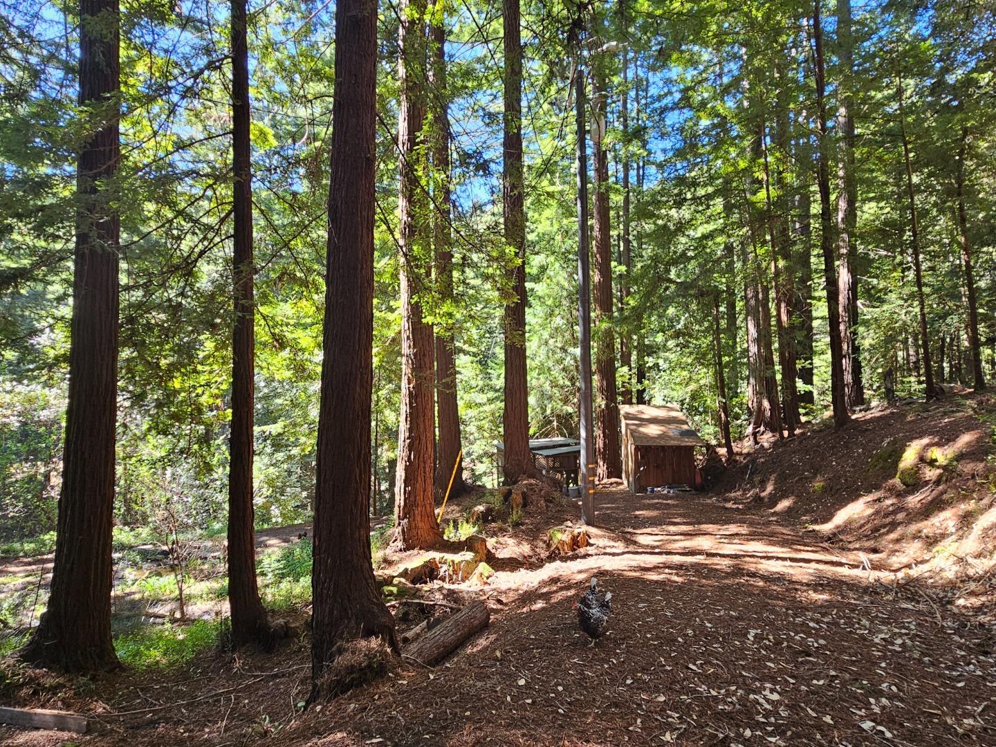 23505 Schulties Road photo 28