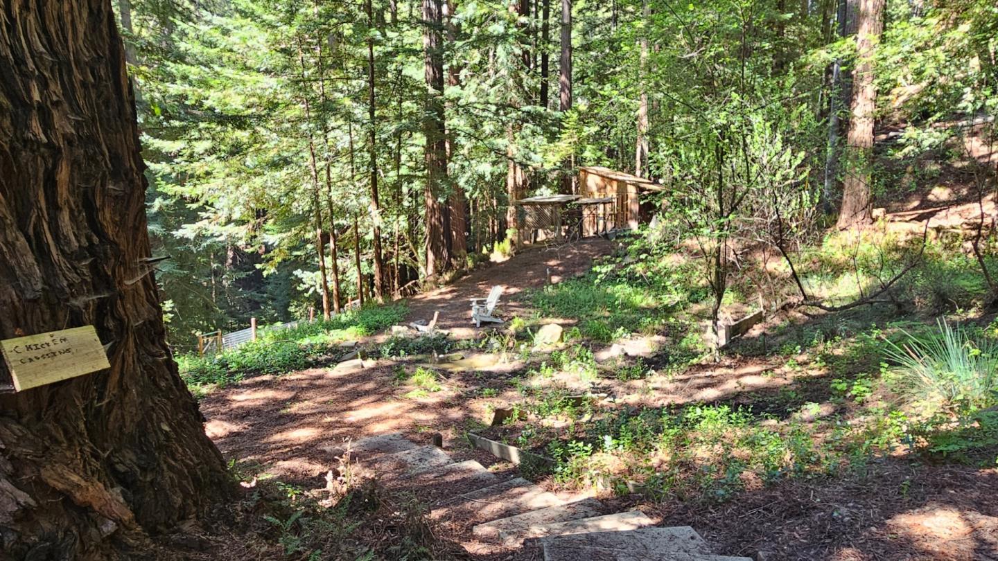 23505 Schulties Road photo 34