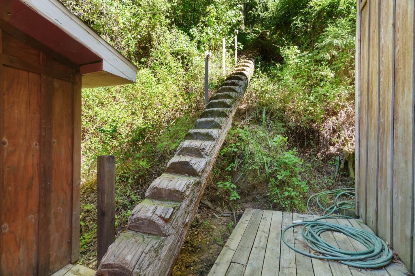 2950 Bear Canyon Road photo 40