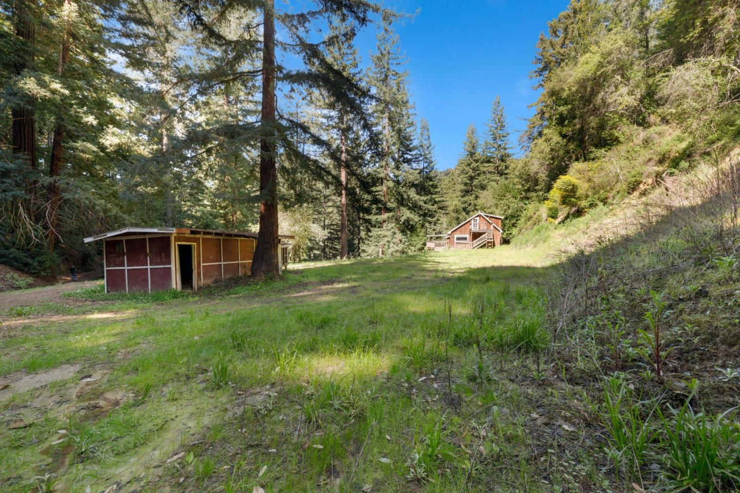2950 Bear Canyon Road photo 47