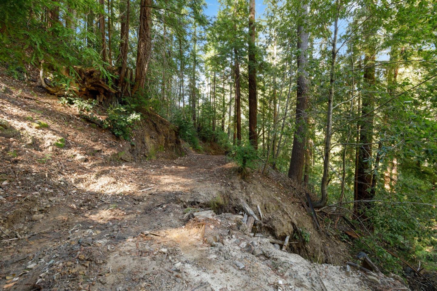 2950 Bear Canyon Road photo 51