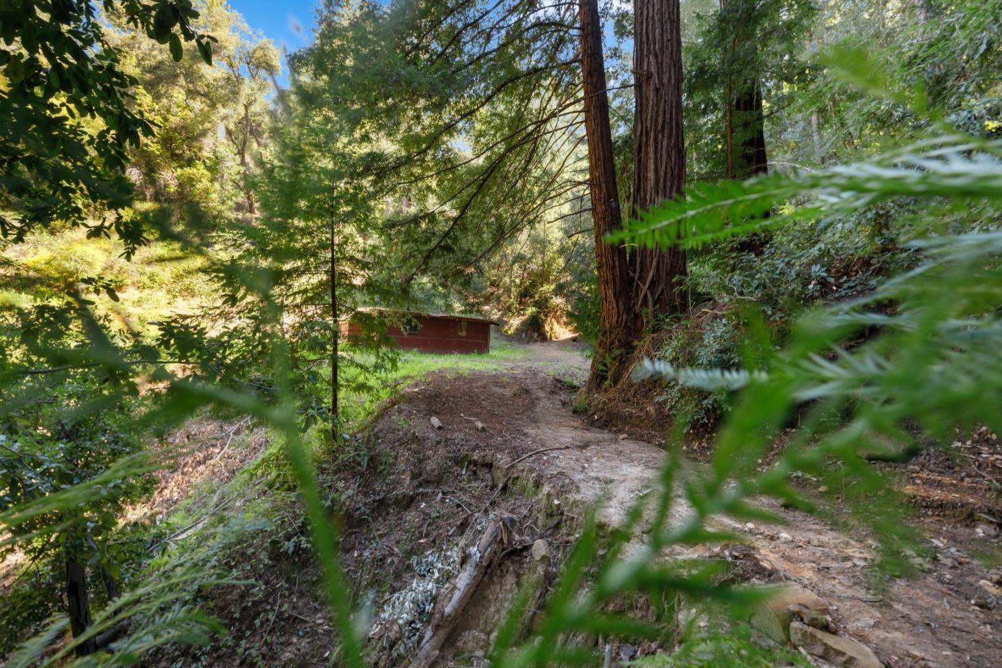 2950 Bear Canyon Road photo 52