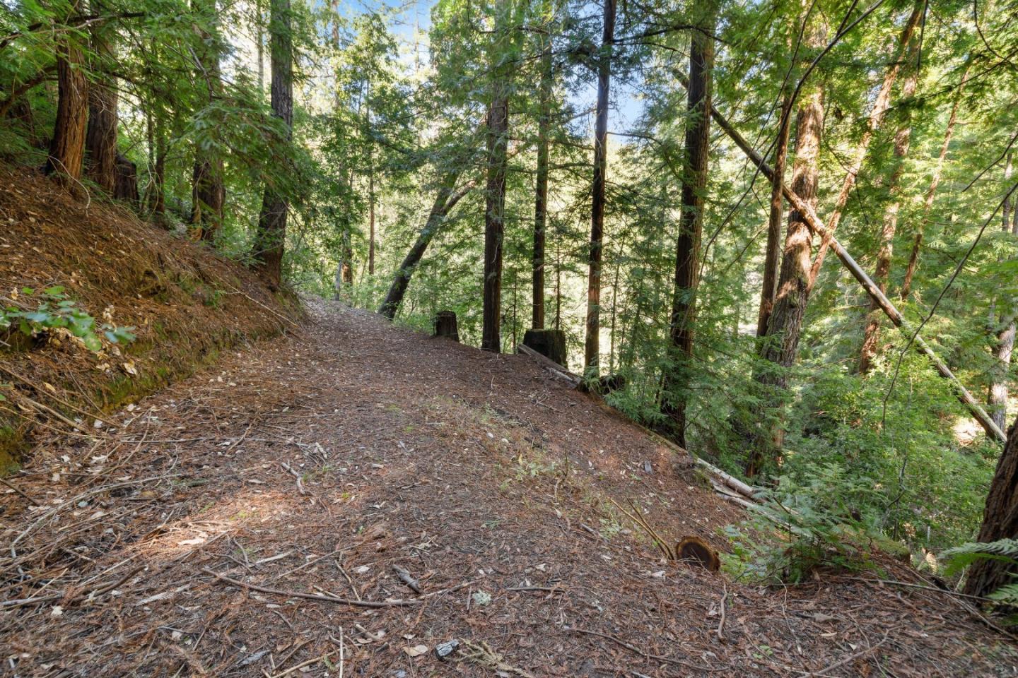 2950 Bear Canyon Road photo 53