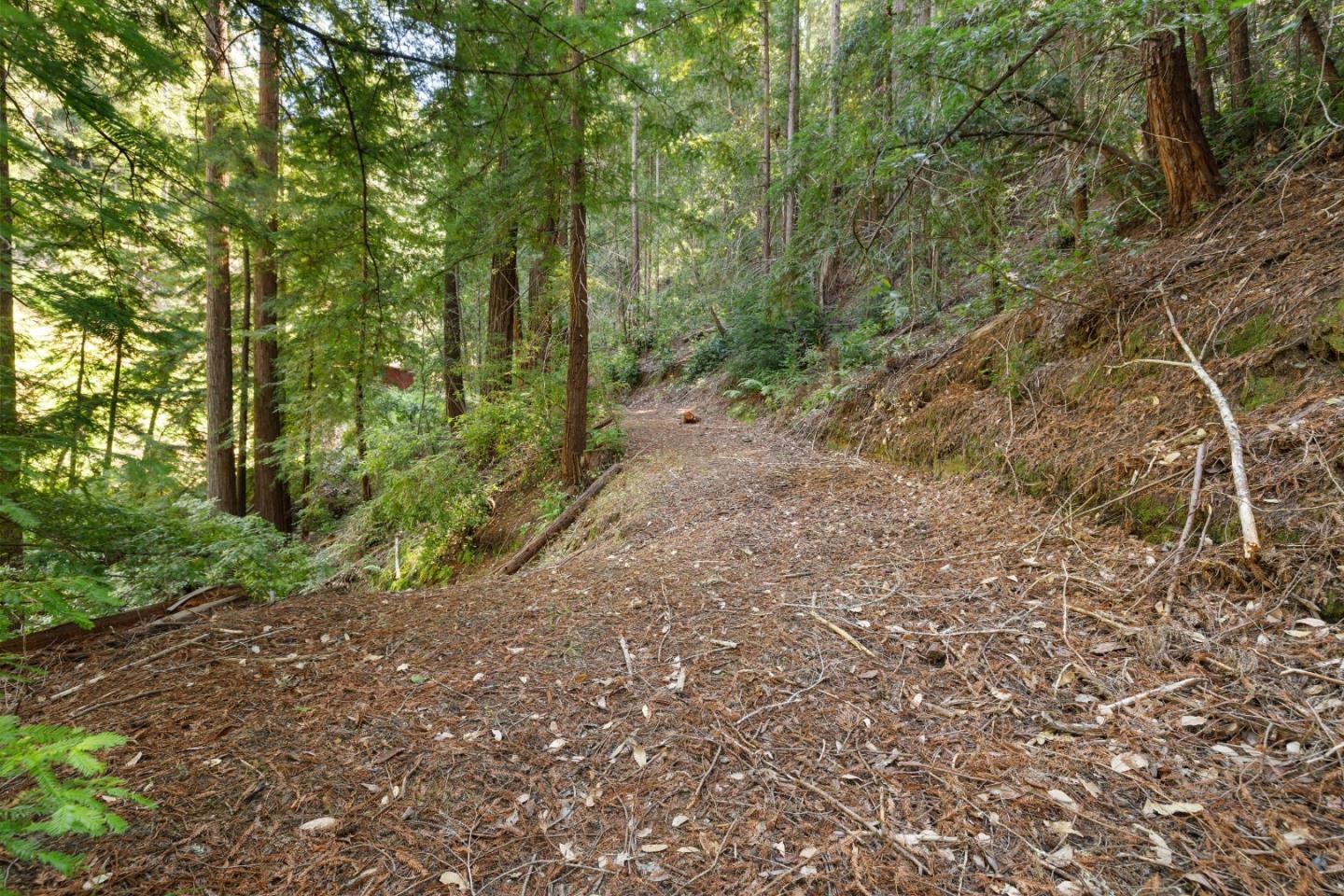 2950 Bear Canyon Road photo 54