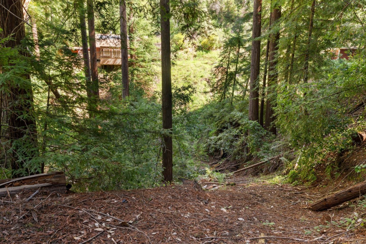 2950 Bear Canyon Road photo 55