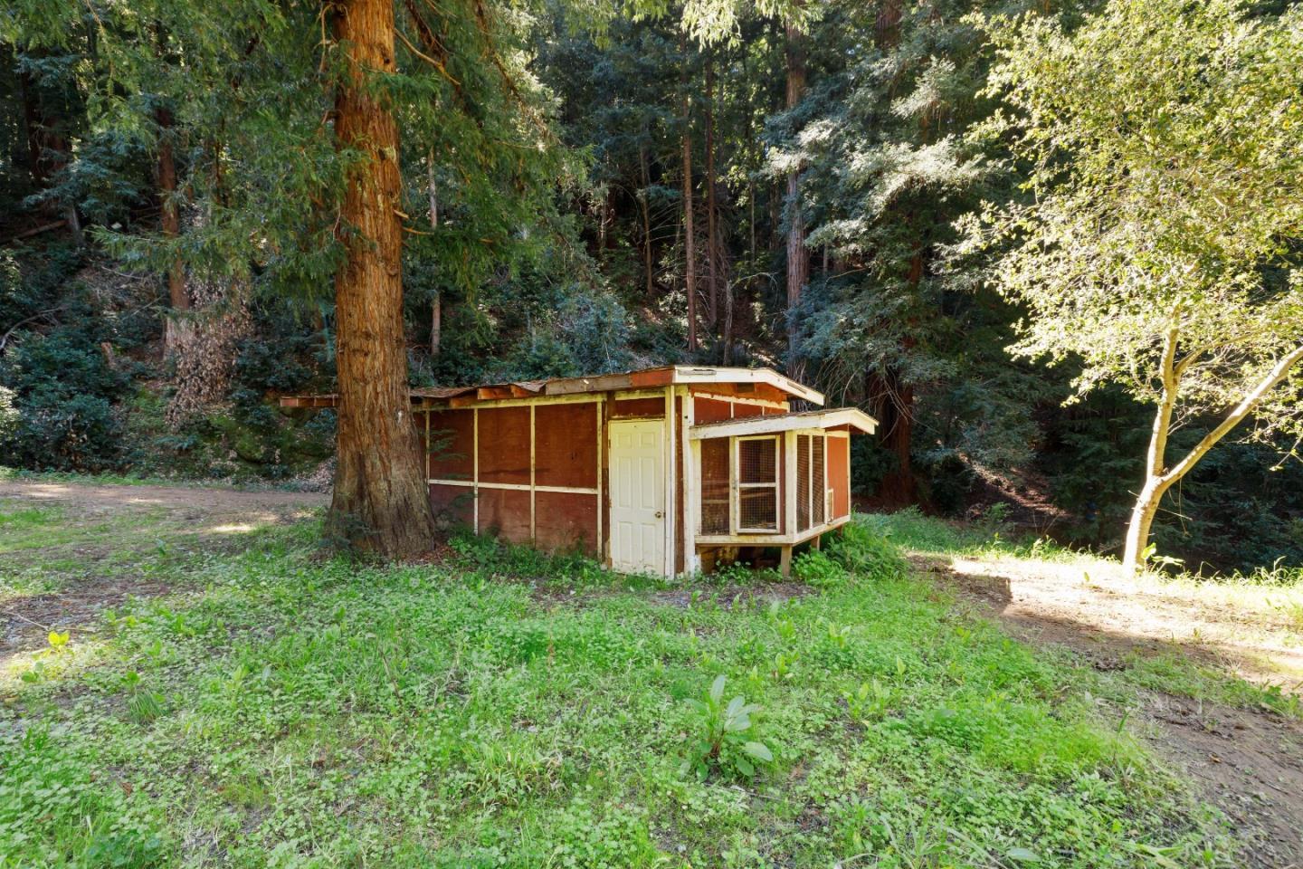 2950 Bear Canyon Road photo 58