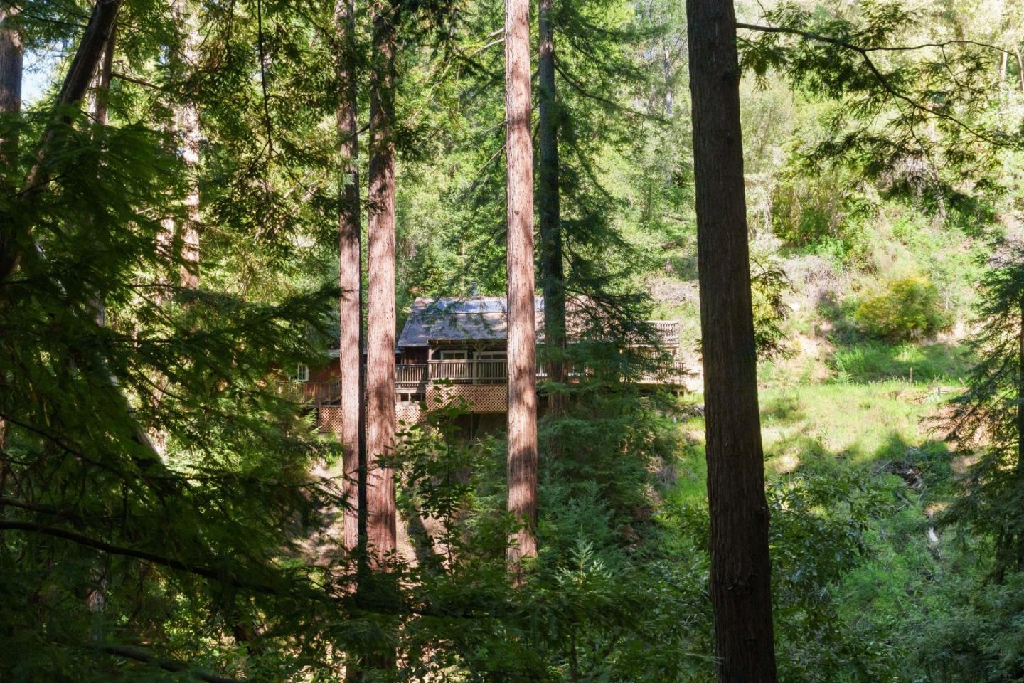 2950 Bear Canyon Road photo 77