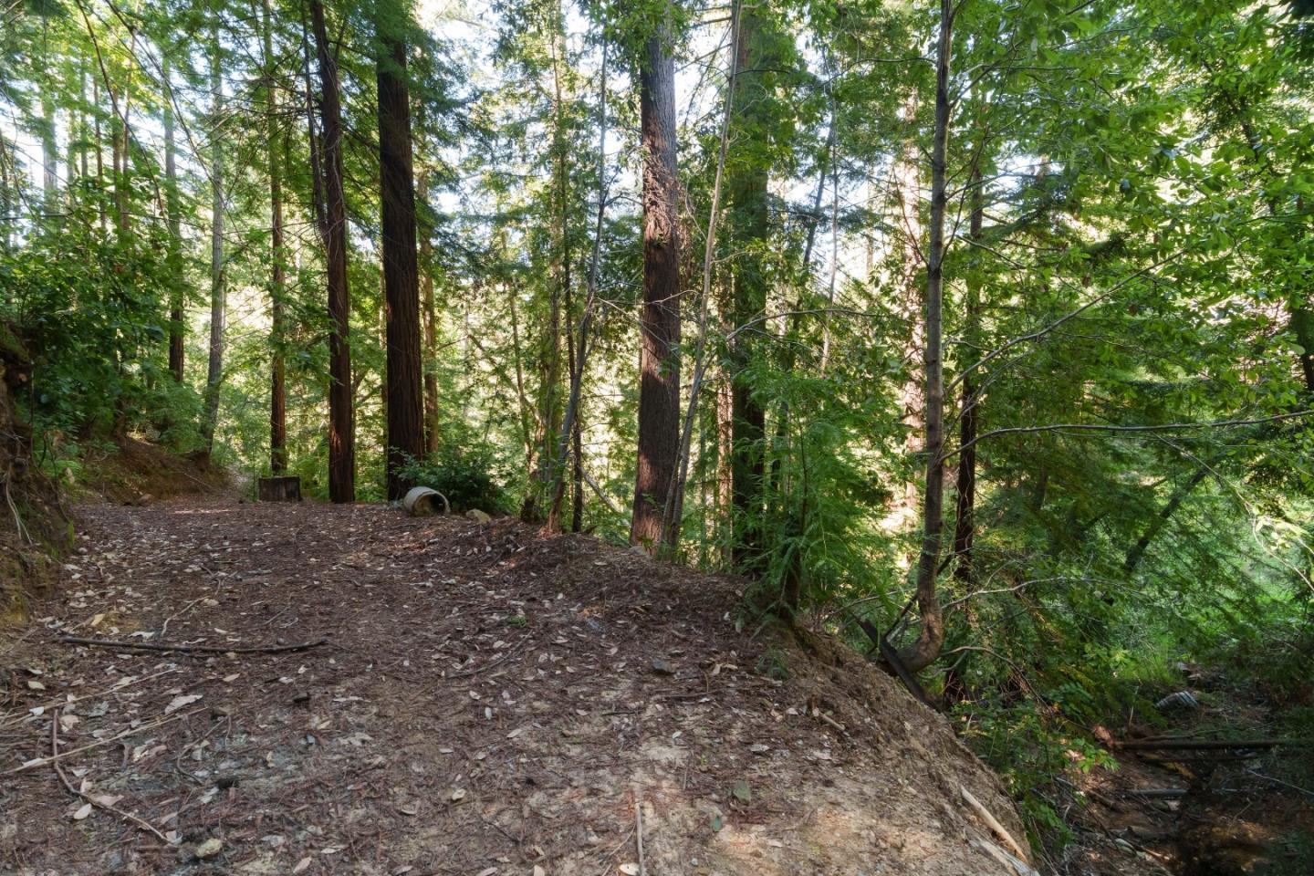 2950 Bear Canyon Road photo 78