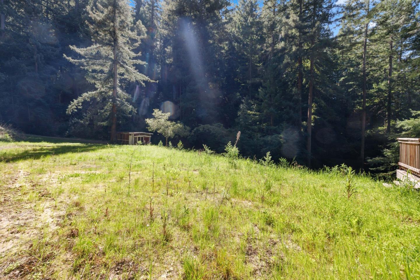 2950 Bear Canyon Road photo 86
