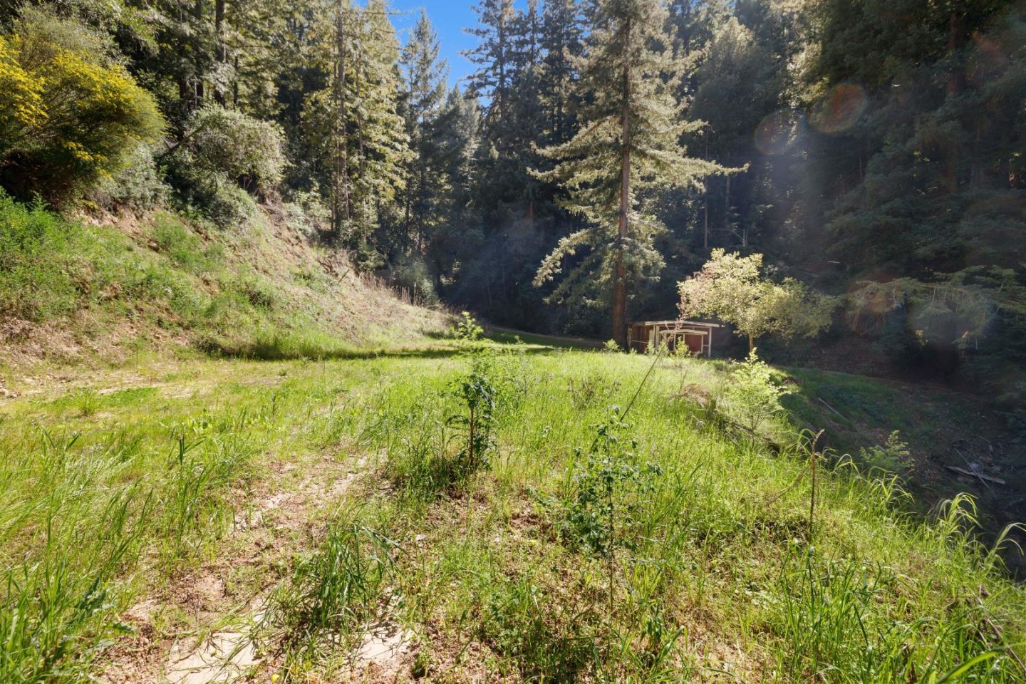 2950 Bear Canyon Road photo 87