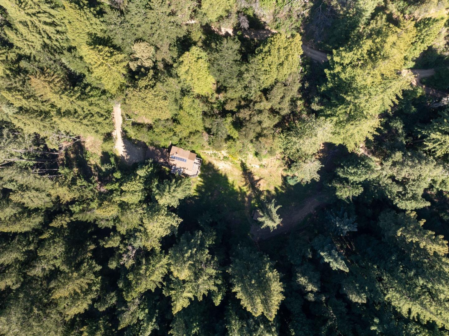 2950 Bear Canyon Road photo 91