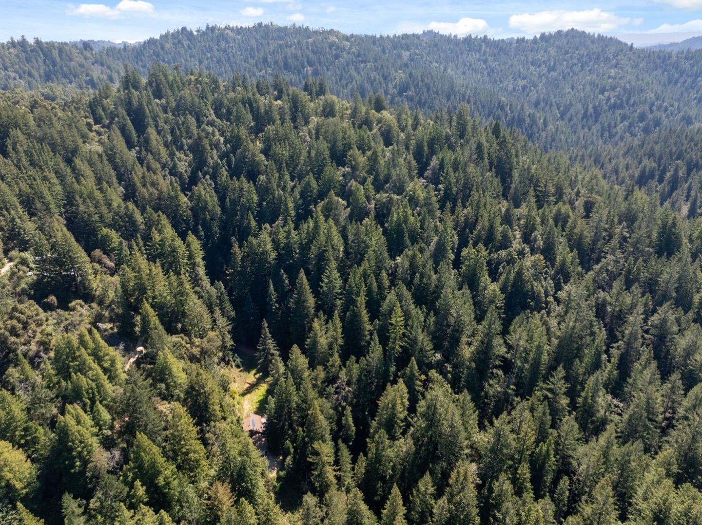 2950 Bear Canyon Road photo 92