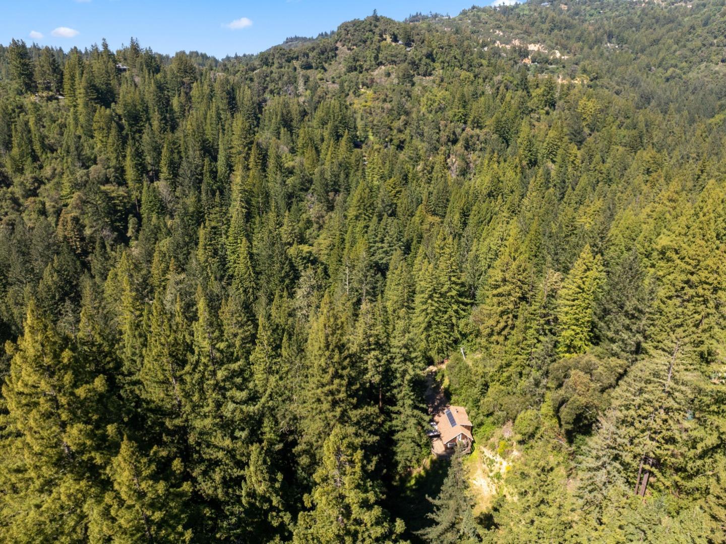 2950 Bear Canyon Road photo 93