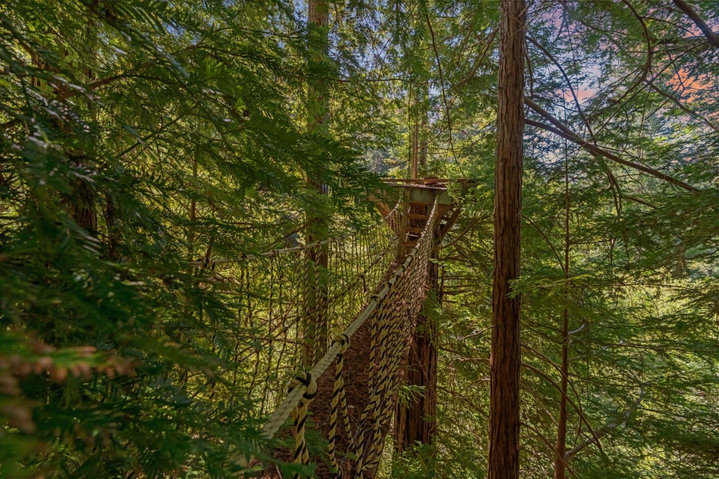 2950 Bear Canyon Road photo 96