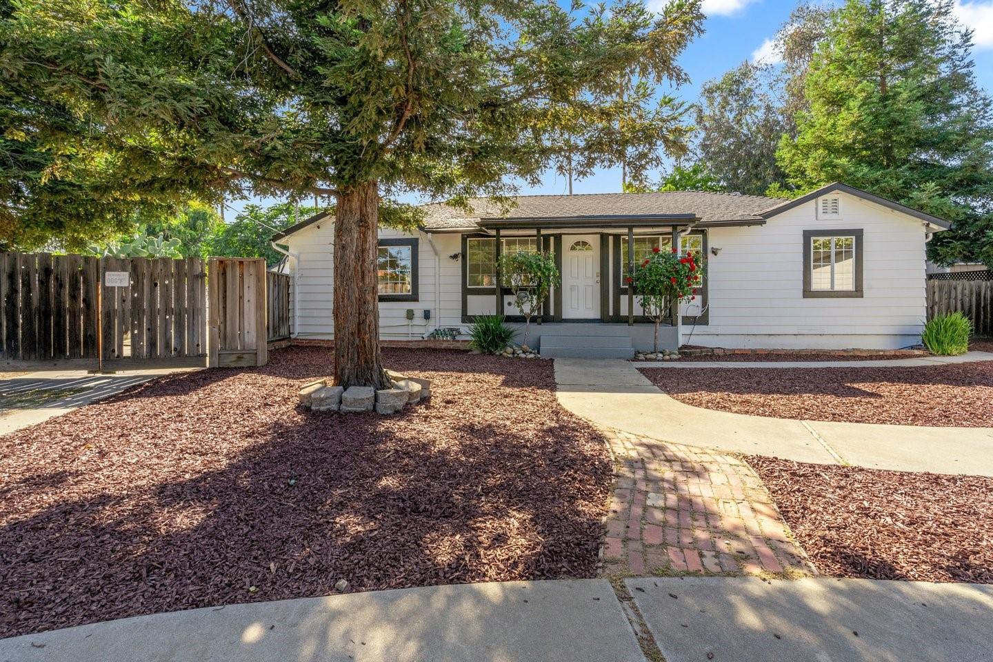 1131 Shamrock Drive photo 5