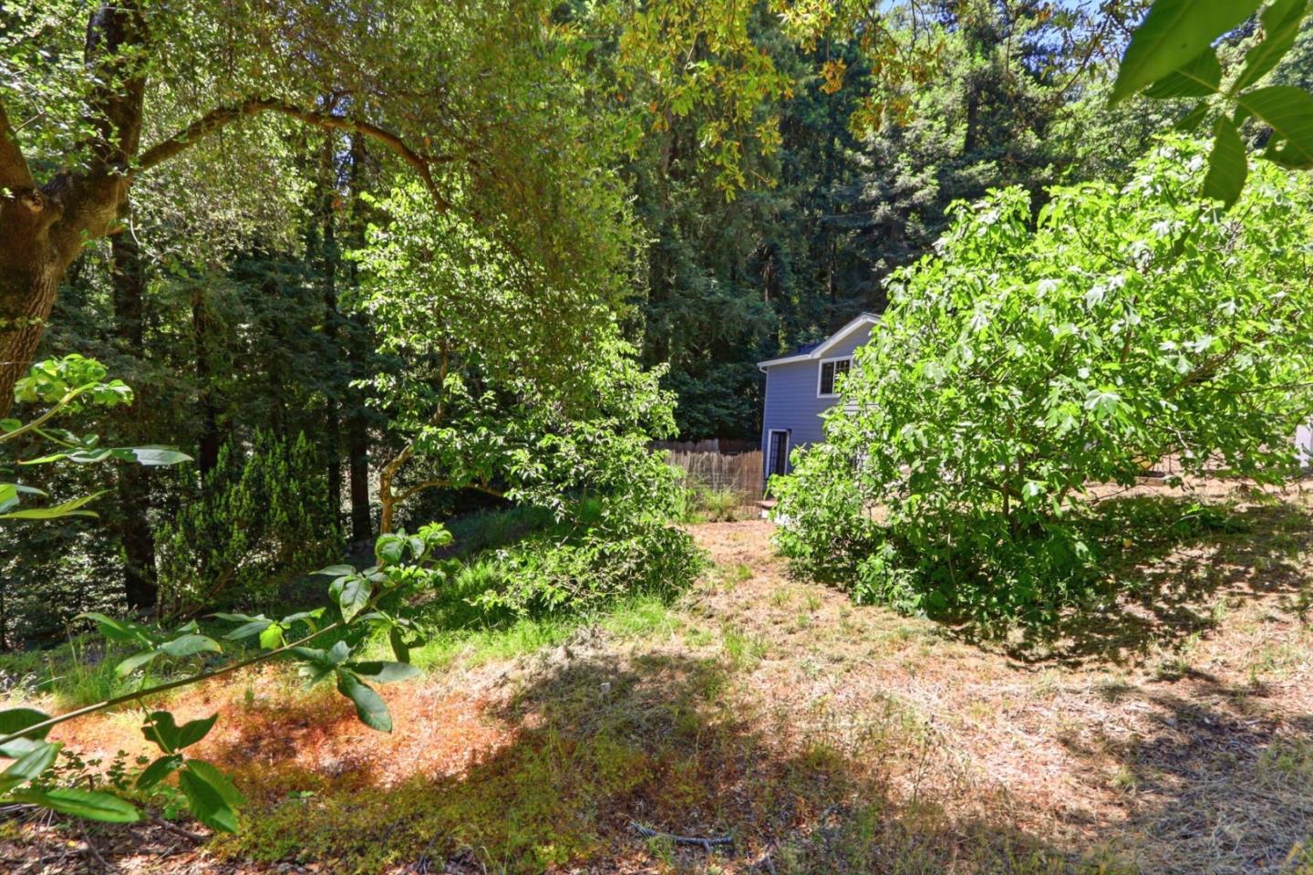 21568 Alma Court photo 38