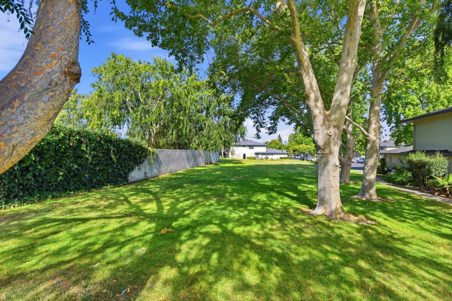 207 Watson Drive #3 photo 31