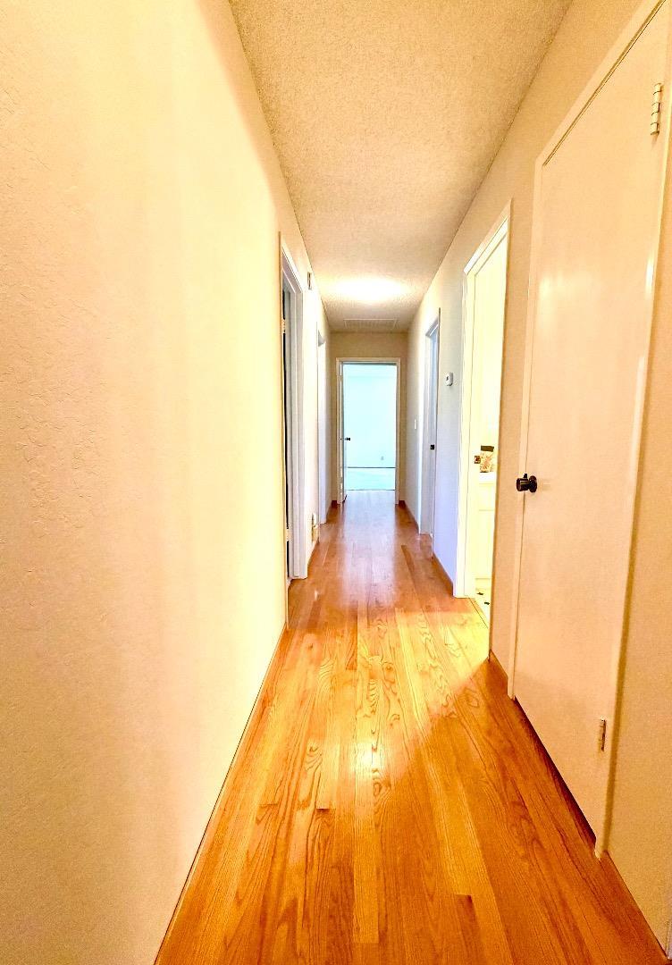 19959 Sea Gull Way photo 12