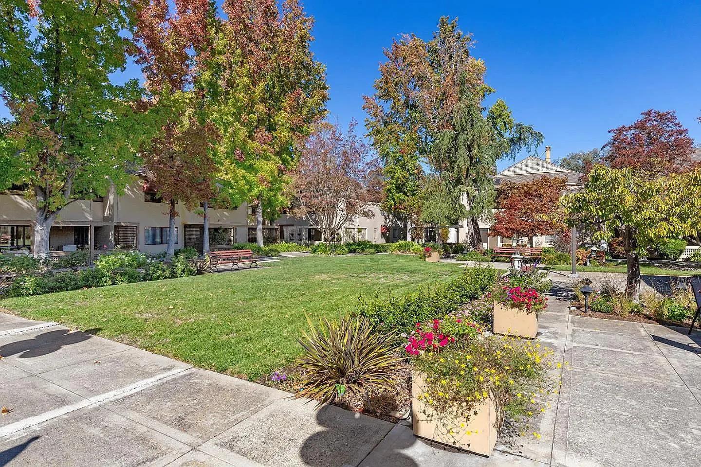 443 Alberto Way #B219 photo 11