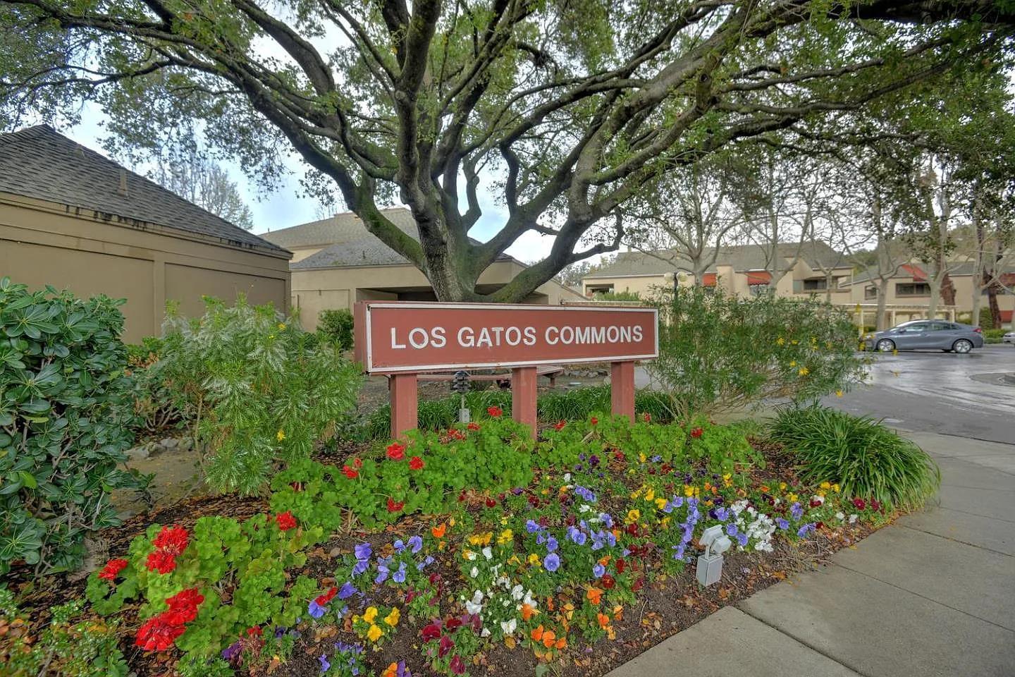 443 Alberto Way #B219 photo 17