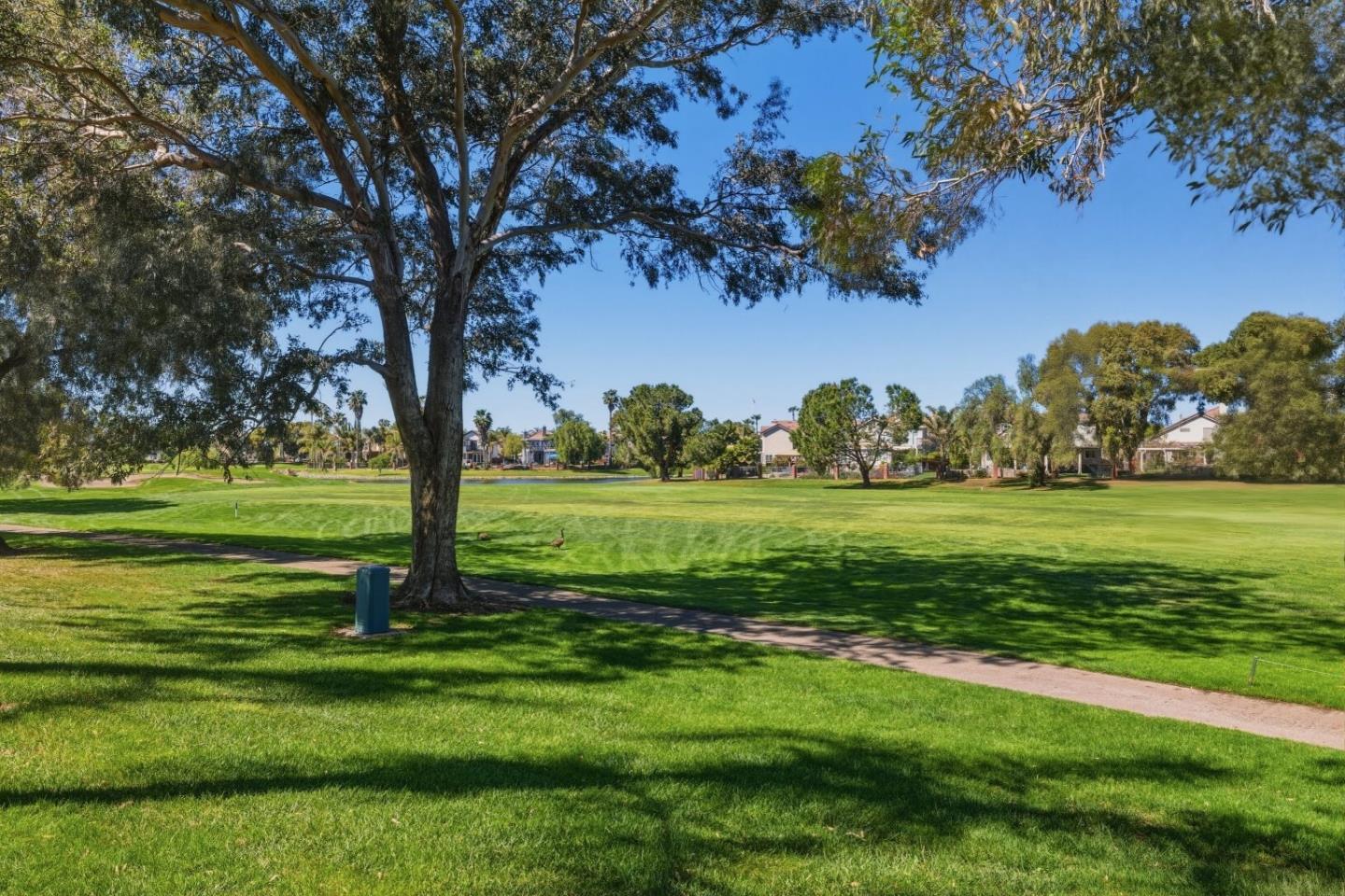 2595 Cherry Hills Drive photo 53