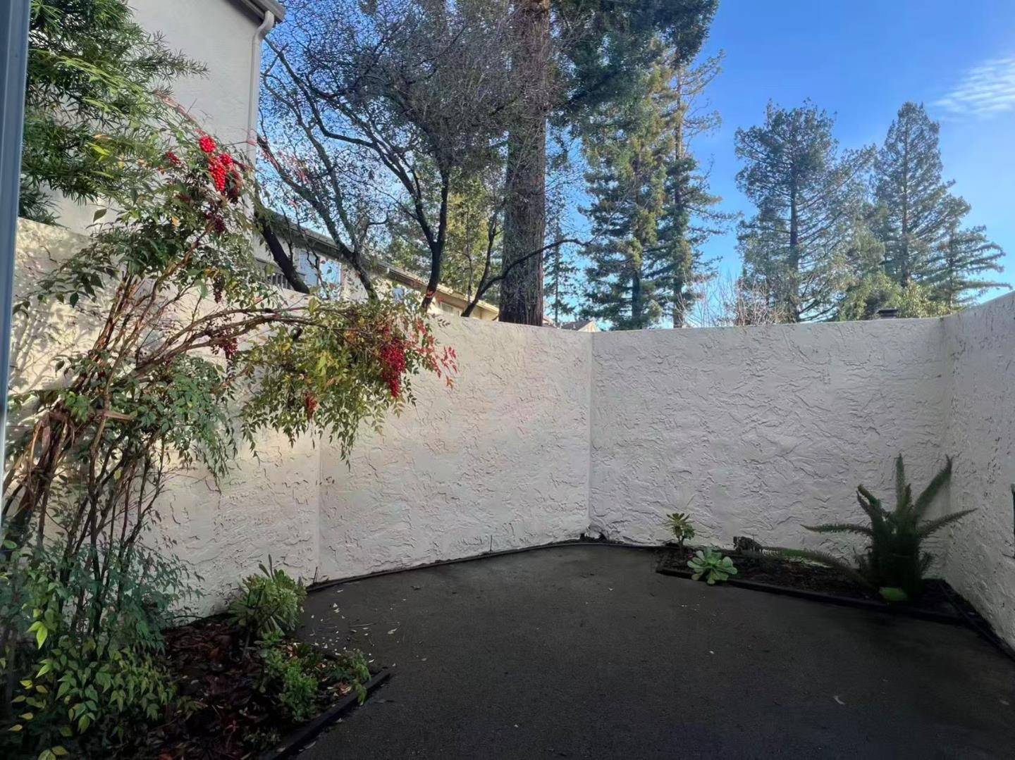 19124 Vineyard Lane photo 27