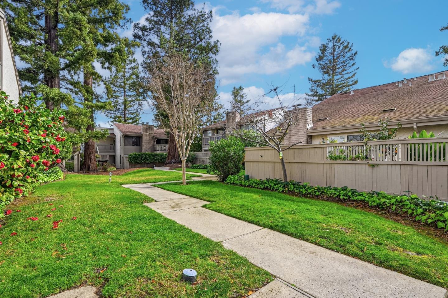 19124 Vineyard Lane photo 36