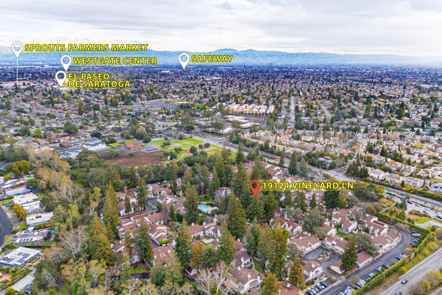 19124 Vineyard Lane photo 49