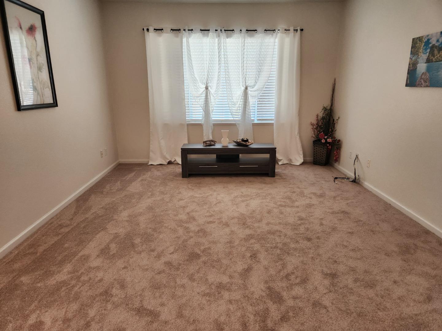 3657 Otter Brook Loop photo 19