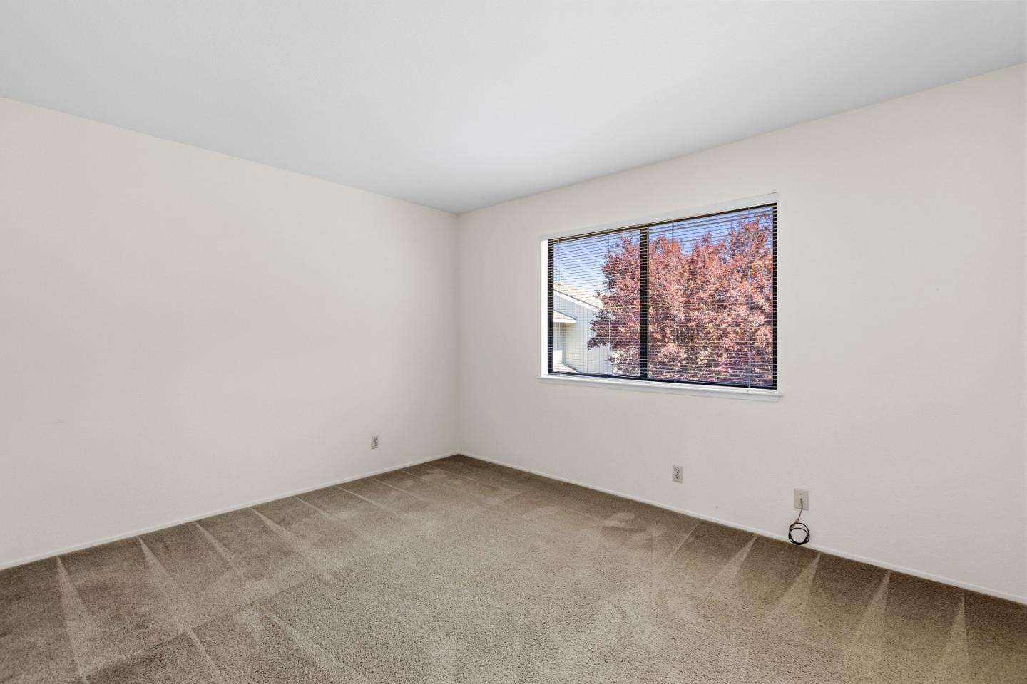 12152 Atrium Drive photo 28