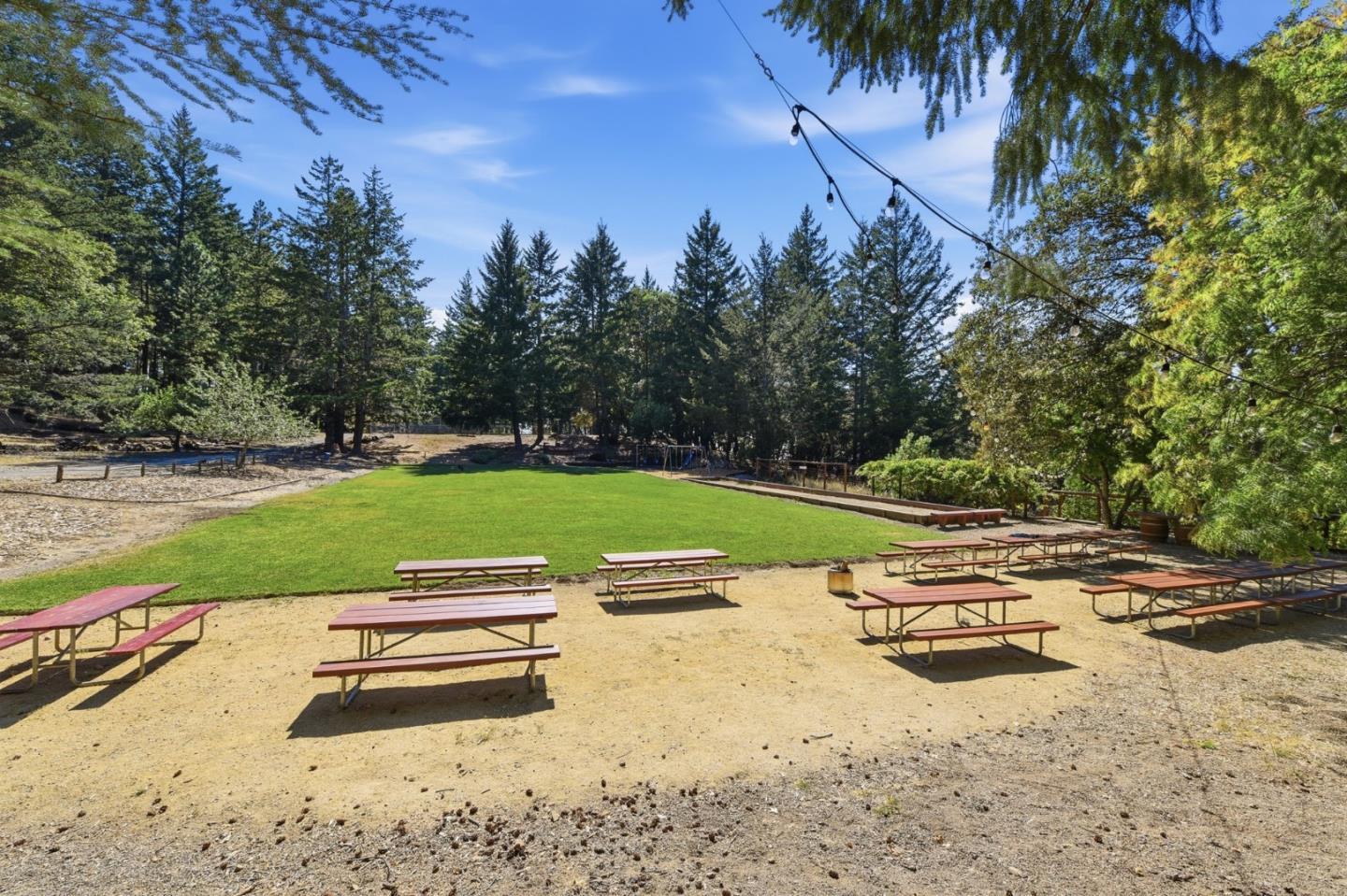22163 Miller Ridge Road photo 51