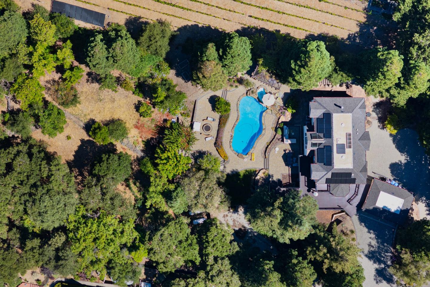15303 Top Of The Hill Court photo 4