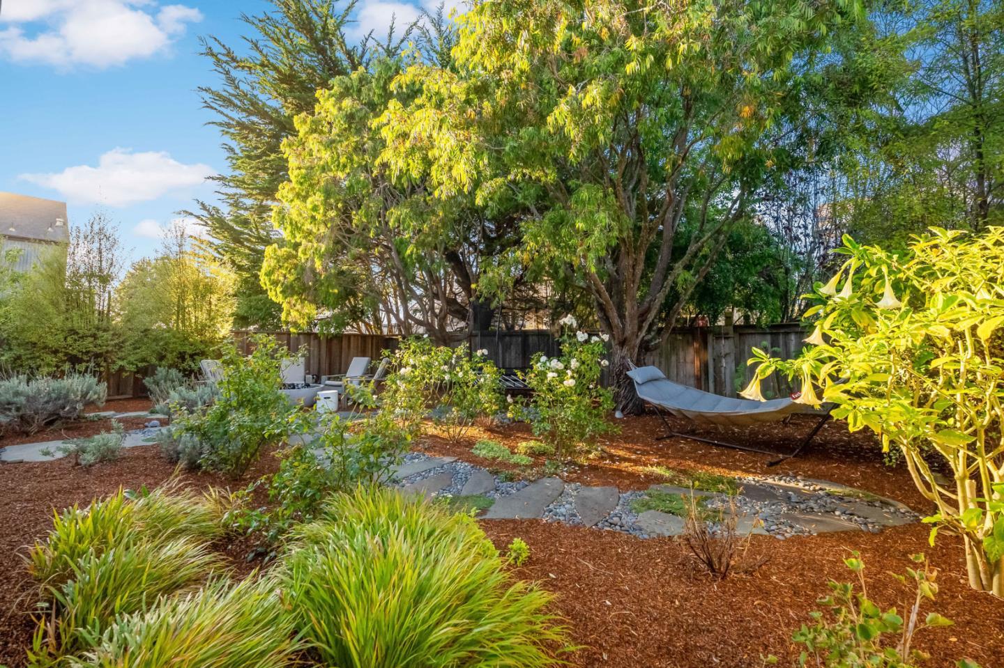 213 Myrtle Street photo 37