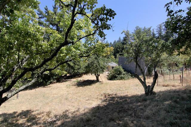 24766 Skyland Road photo 13