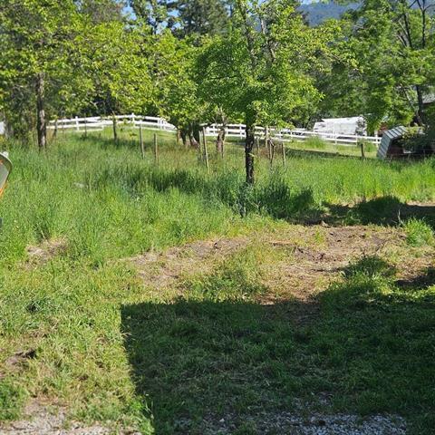 24766 Skyland Road photo 15