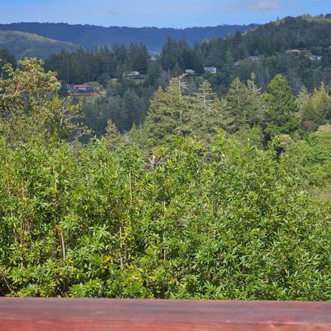 24766 Skyland Road photo 19